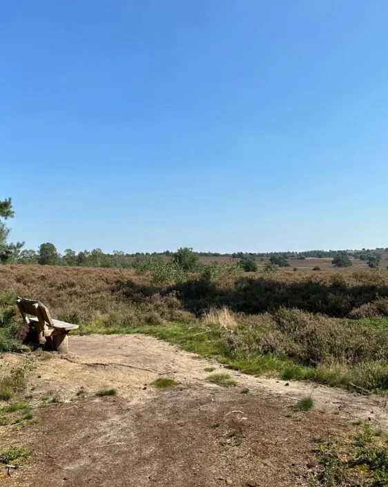 Onverwachts verkopen of verdelen